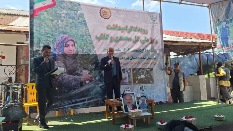 معاون سازمان جهاد کشاورزی استان: گیلان ۱۳۰ هکتار سطح زیر کشت گل محمدی دارد